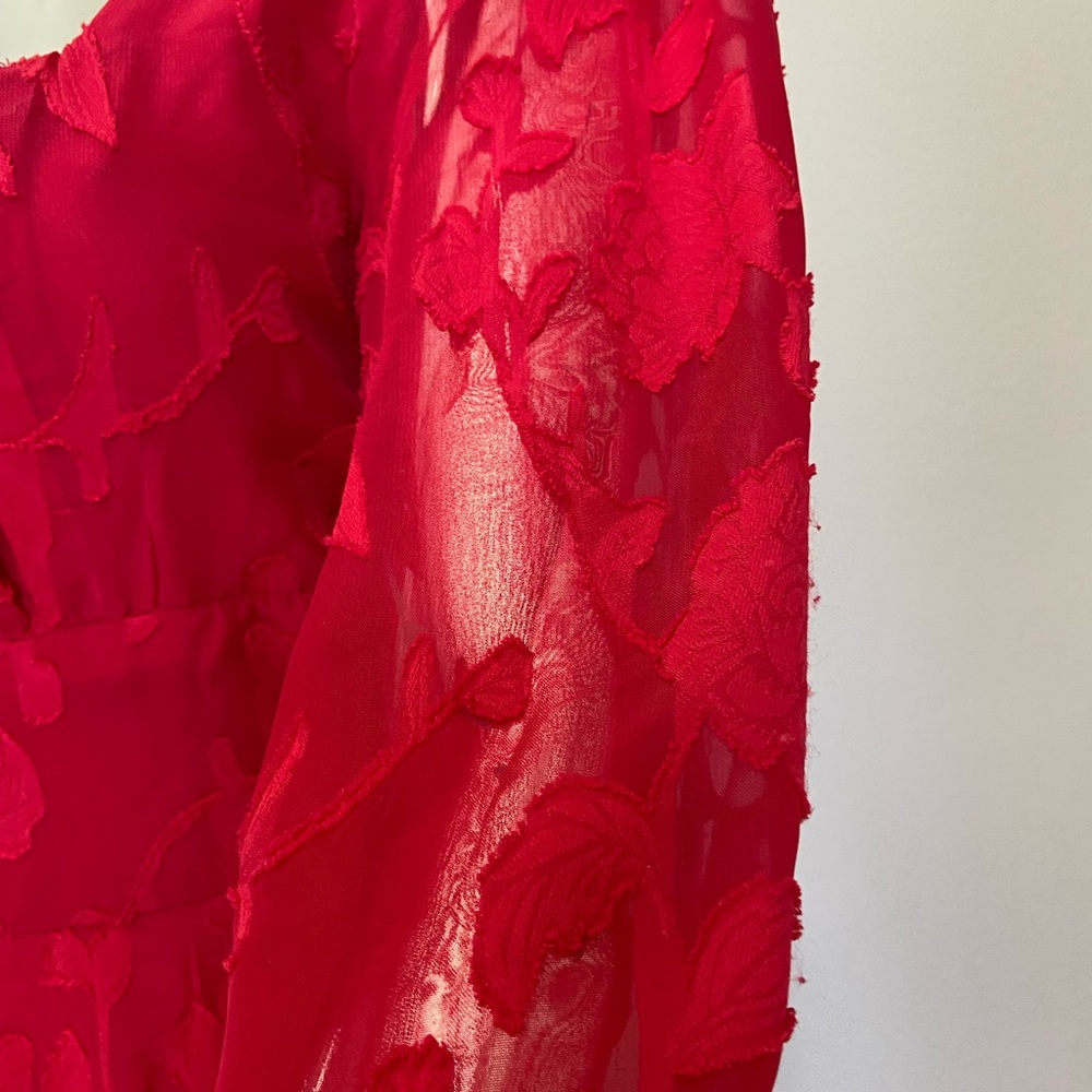 Sheer Lace Dress - Picture 5 of 6